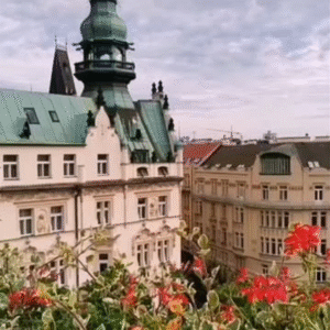 TOP Restaurants in the Czech Republic 🇨🇿 (obalka - skryty)